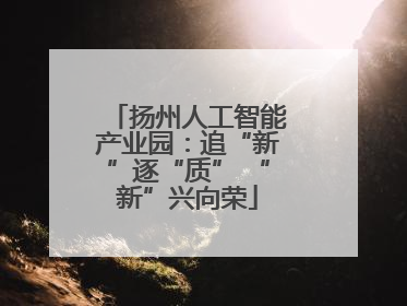 扬州人工智能产业园：追“新”逐“质” “新”兴向荣