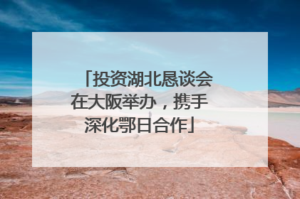 投资湖北恳谈会在大阪举办，携手深化鄂日合作