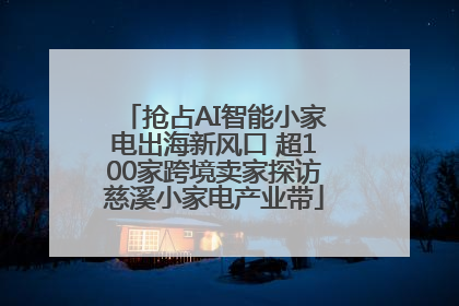抢占AI智能小家电出海新风口 超100家跨境卖家探访慈溪小家电产业带