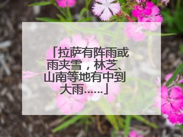 拉萨有阵雨或雨夹雪，林芝、山南等地有中到大雨……