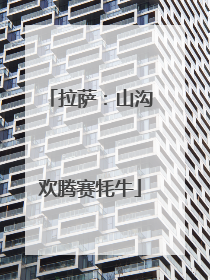 拉萨：山沟欢腾赛牦牛