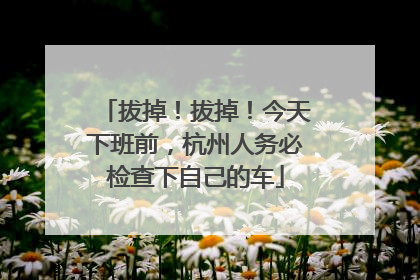 拔掉！拔掉！今天下班前，杭州人务必检查下自己的车
