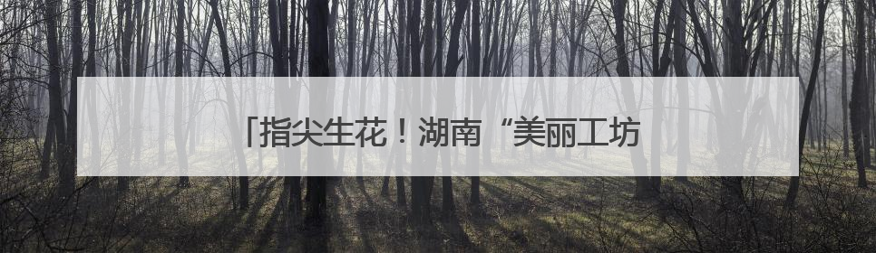 指尖生花！湖南“美丽工坊”随故宫文创亮相联合国