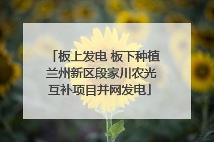 板上发电 板下种植 兰州新区段家川农光互补项目并网发电