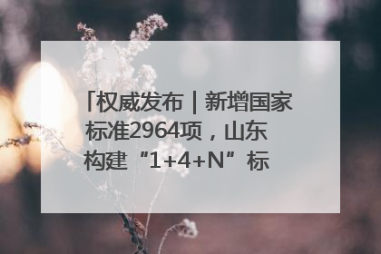 权威发布｜新增国家标准2964项，山东构建“1+4+N”标准化创新发展新格局