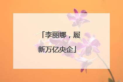 李丽娜，履新万亿央企