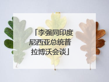 李强同印度尼西亚总统普拉博沃会谈