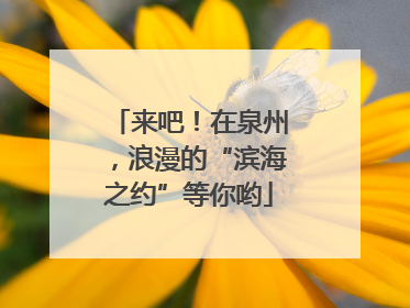 来吧！在泉州，浪漫的“滨海之约”等你哟