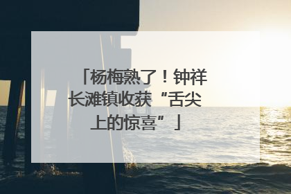 杨梅熟了！钟祥长滩镇收获“舌尖上的惊喜”