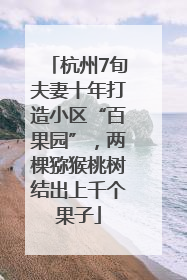 杭州7旬夫妻十年打造小区“百果园”，两棵猕猴桃树结出上千个果子
