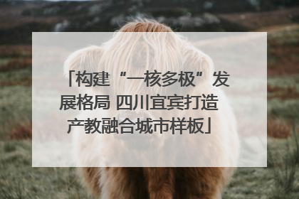 构建“一核多极”发展格局 四川宜宾打造产教融合城市样板