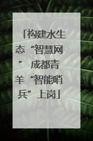 构建水生态“智慧网” 成都青羊“智能哨兵”上岗