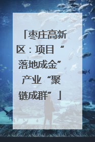 枣庄高新区：项目“落地成金” 产业“聚链成群”