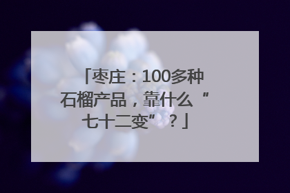 枣庄：100多种石榴产品，靠什么“七十二变”？
