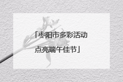 枣阳市多彩活动点亮端午佳节