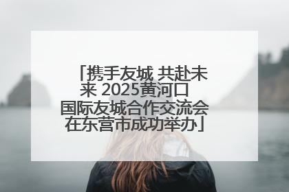 携手友城 共赴未来 2025黄河口国际友城合作交流会在东营市成功举办