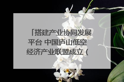 搭建产业协同发展平台 中国庐山低空经济产业联盟成立（组图｜视频）