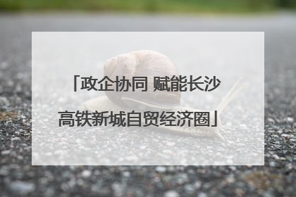 政企协同 赋能长沙高铁新城自贸经济圈
