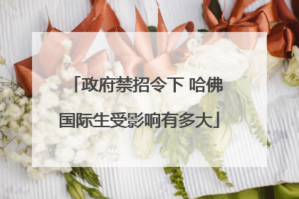 政府禁招令下 哈佛国际生受影响有多大