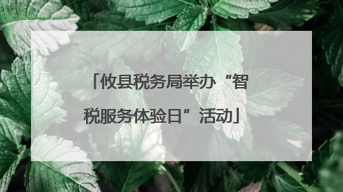 攸县税务局举办“智税服务体验日”活动