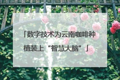 数字技术为云南咖啡种植装上“智慧大脑”