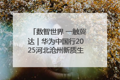 数智世界 一触冀达｜华为中国行2025河北沧州新质生产力峰会成功举办