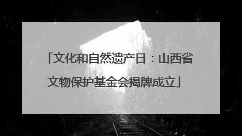 文化和自然遗产日：山西省文物保护基金会揭牌成立