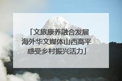 文旅康养融合发展 海外华文媒体山西高平感受乡村振兴活力