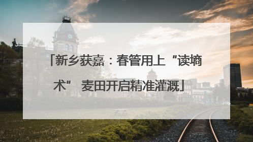 新乡获嘉：春管用上“读墒术” 麦田开启精准灌溉