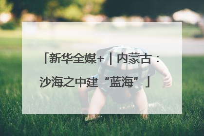 新华全媒+｜内蒙古：沙海之中建“蓝海”