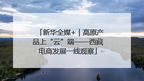 新华全媒+｜高原产品上“云”端——西藏电商发展一线观察
