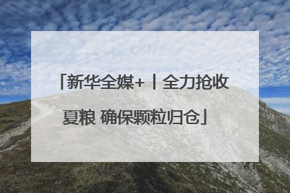 新华全媒+丨全力抢收夏粮 确保颗粒归仓