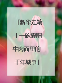 新华走笔丨一碗襄阳牛肉面里的千年城事