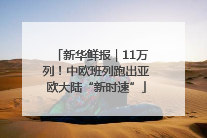 新华鲜报｜11万列！中欧班列跑出亚欧大陆“新时速”