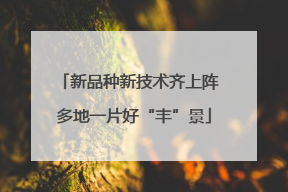 新品种新技术齐上阵 多地一片好“丰”景