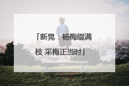 新晃：杨梅缀满枝 采梅正当时