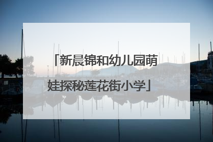 新晨锦和幼儿园萌娃探秘莲花街小学