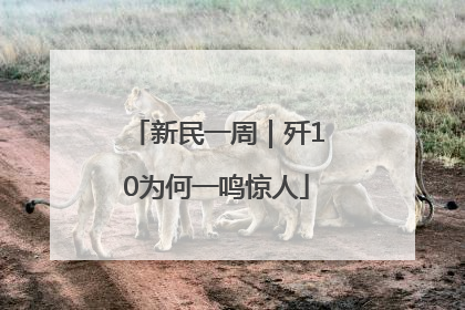 新民一周｜歼10为何一鸣惊人