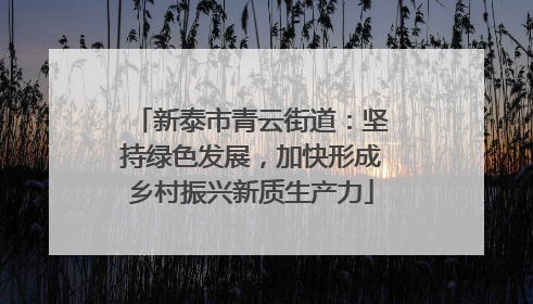 新泰市青云街道：坚持绿色发展，加快形成乡村振兴新质生产力