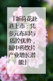 新荷花赴港上市：凭多元布局与质控优势，掘中药饮片产业增长潜能