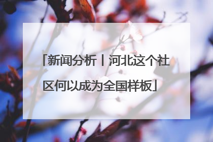 新闻分析丨河北这个社区何以成为全国样板