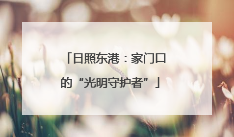 日照东港：家门口的“光明守护者”