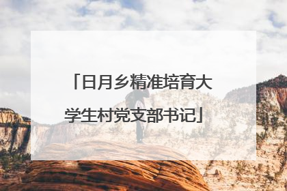 日月乡精准培育大学生村党支部书记