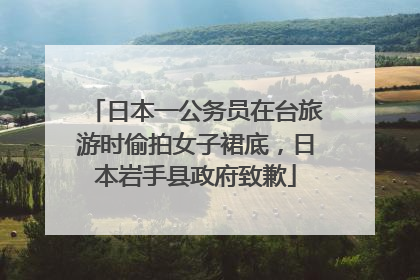 日本一公务员在台旅游时偷拍女子裙底，日本岩手县政府致歉