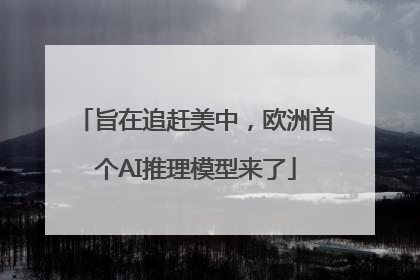 旨在追赶美中，欧洲首个AI推理模型来了