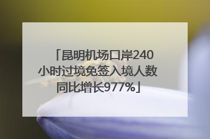 昆明机场口岸240小时过境免签入境人数同比增长977%