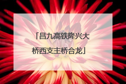 昌九高铁隆兴大桥西支主桥合龙