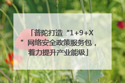 普陀打造“1+9+X”网络安全政策服务包，着力提升产业能级