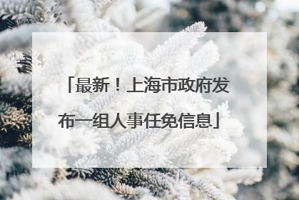最新！上海市政府发布一组人事任免信息