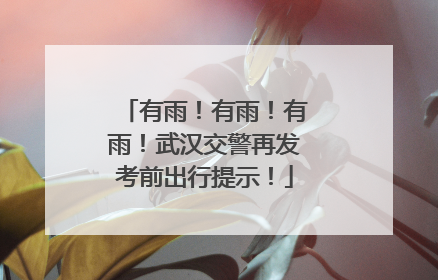 有雨！有雨！有雨！武汉交警再发考前出行提示！